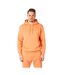 Sweat à capuche homme orange RIPT Essentials