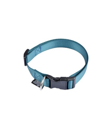 Collier Réglable pour Chien Essentiel 35cm Émeraude