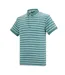 Polo Motif/style Rayé Tiver Homme Bleu Clair Blanc Regatta-4