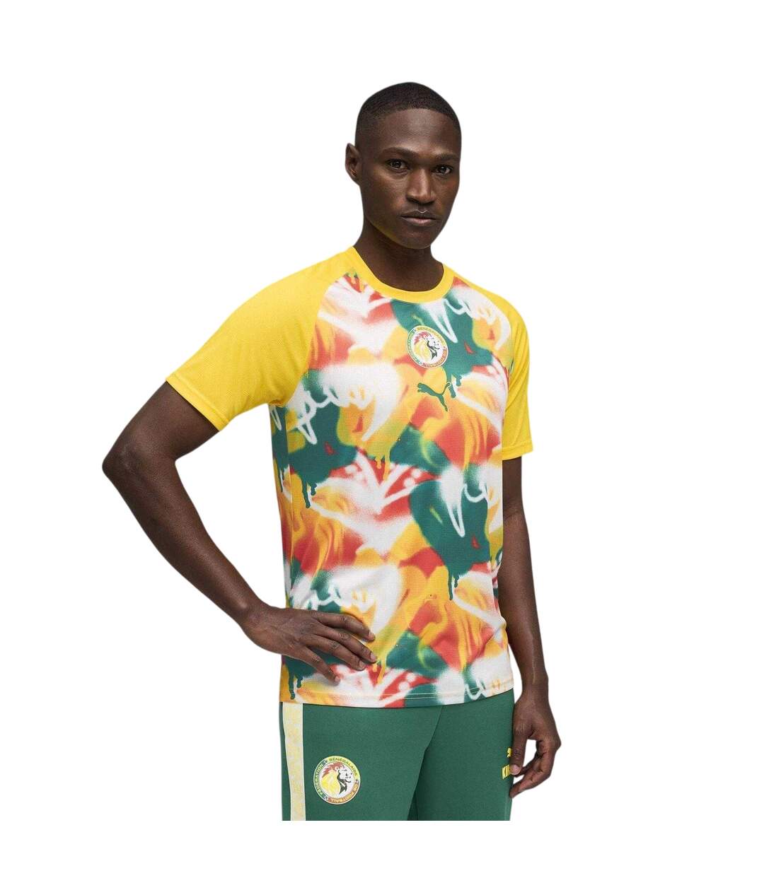T-shirt Motif/style Sénégal World Cup Homme Jaune Vert Puma-4