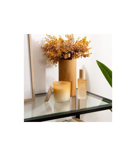 Bougie Parfumée en Verre Sana 255g Terre de Feu