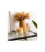 Bougie Parfumée en Verre Sana 255g Terre de Feu-3