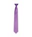 Premier - Cravate à clipser (Saphir) (Taille unique) - UTRW4407