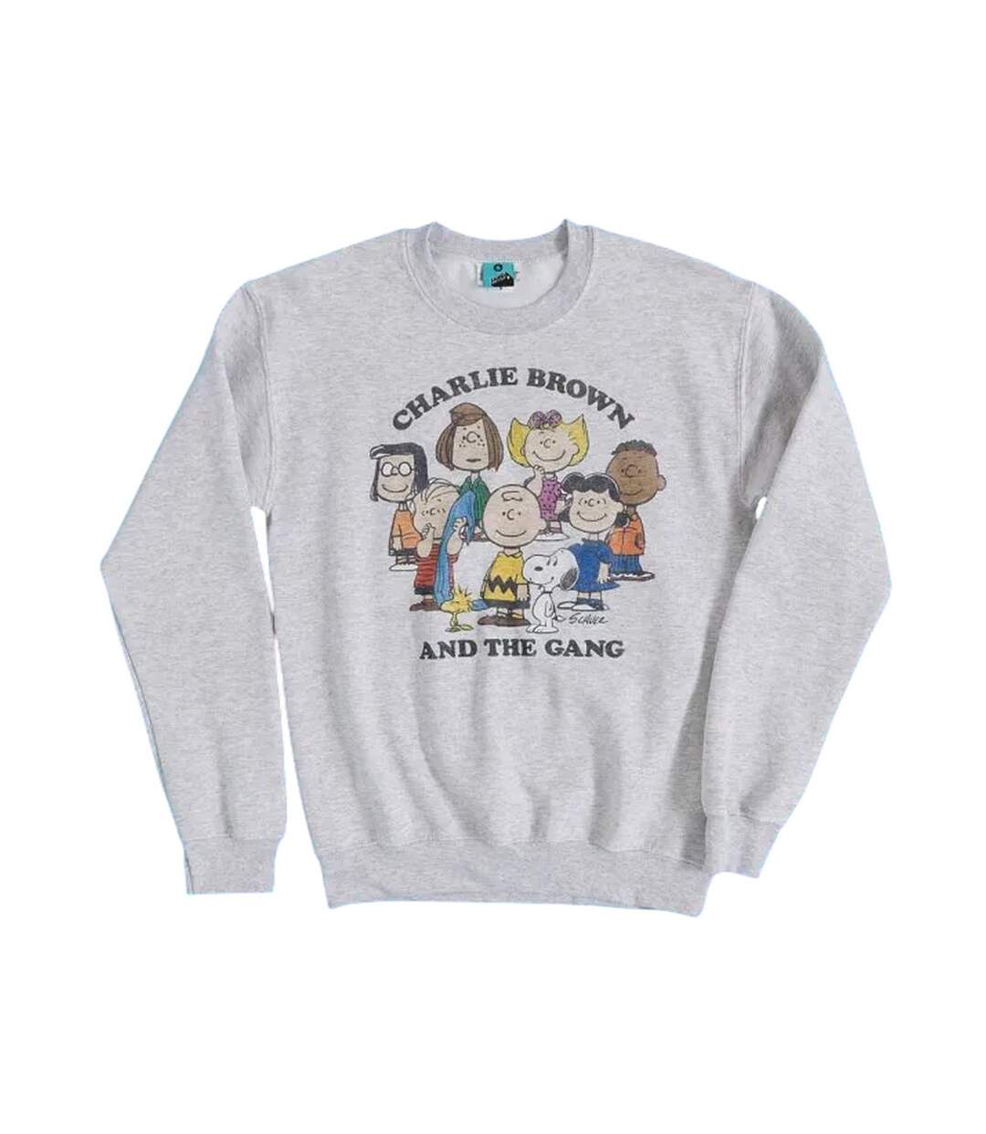 Sweat Charlie And The Gang Adulte Gris Peanuts-2