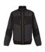 Regatta Mens E-Volve Thermal Hybrid Jacket (Ash/Black)