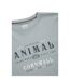 Animal Mens Jacob Graphic Print Natural T-Shirt (Pale Blue)