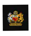 Polo Manchester Homme Noir Fan Originals-4