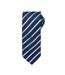 Premier - Cravate - Homme (Bleu marine / Turquoise vif) (Taille unique) - UTPC6126