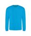 Sweat Adulte Bleu Hawaïen Awdis-1