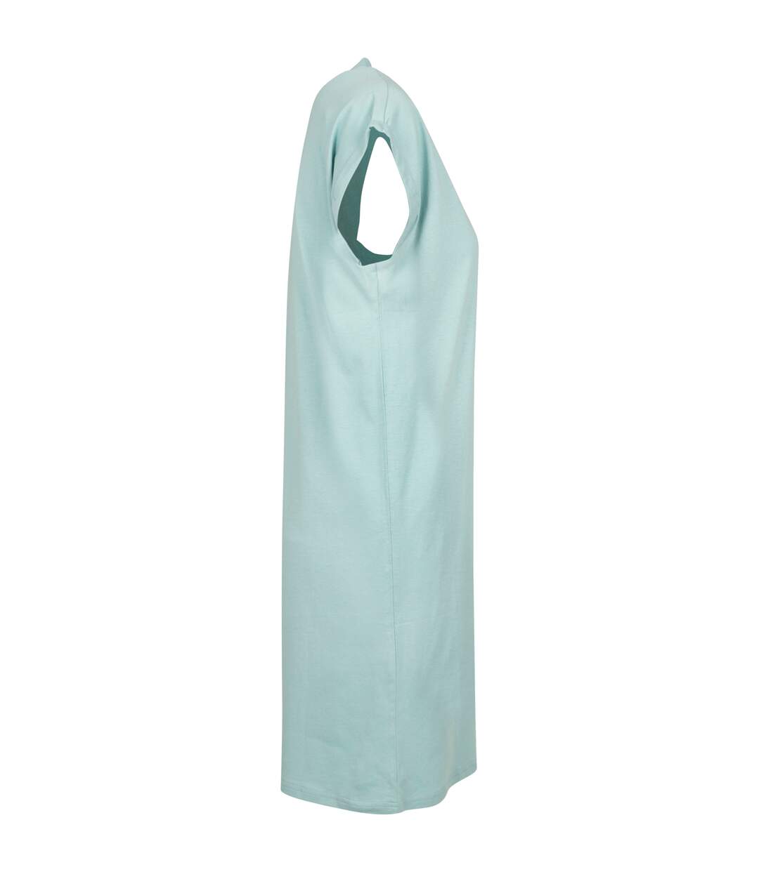 Build Your Brand Womens/Ladies Casual Dress (Pastel Mint) - UTRW7840-3