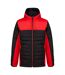Finden & Hales Mens Contrast Padded Jacket (Black/Red) - UTPC4174