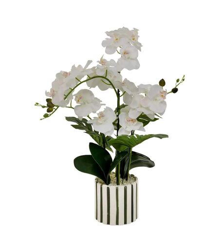 Orchidée Artificielle en Pot Asia 81cm Vert