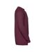 Sweat Manches Raglan Homme Bordeaux Russell-4