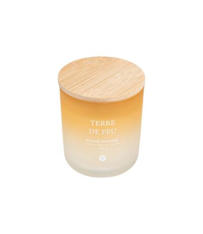 Bougie Parfumée en Verre Sana 255g Terre de Feu