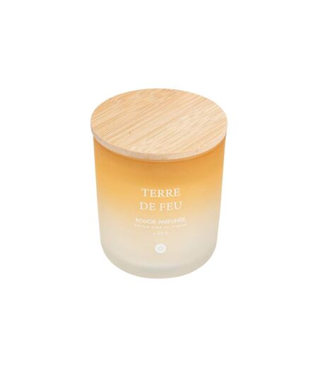 Bougie Parfumée en Verre Sana 255g Terre de Feu