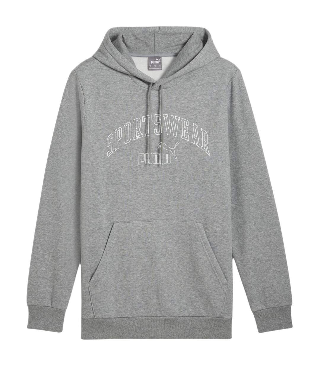 Sweat À Capuche Essentials Homme Gris Argenté Puma-1