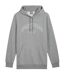 Sweat À Capuche Essentials Homme Gris Argenté Puma-1
