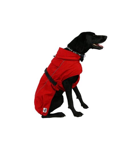 Extreme blizzard dog coat 35cm red Ancol