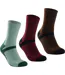 Socquettes Lifestyle Homme Vert Pâle Marron Bordeaux Sombre Regatta-1