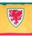 Embroidered Bucket Hat Red Yellow Green FA Wales-3