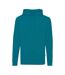 Unisex Adult Jasper Recycled Cotton Hoodie Verdigris Iqoniq-2