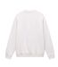 Mens Box Logo Cotton Crew Neck Straight Sweatshirt Beige Napapijri-3