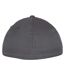 Flexfit - Casquette de baseball - Adulte (Gris foncé) - UTPC4861-2