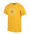 Regatta - T-shirt CLINE - Homme (Jaune) - UTRG6666
