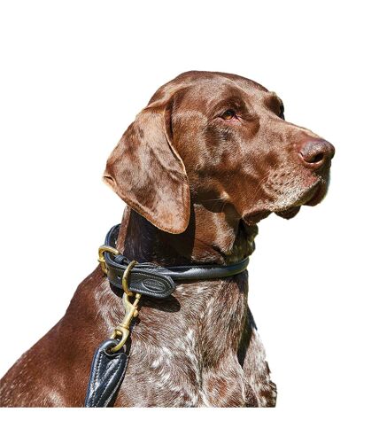 Weatherbeeta Rolled Leather Dog Collar (XXL) (Black) - UTWB1256