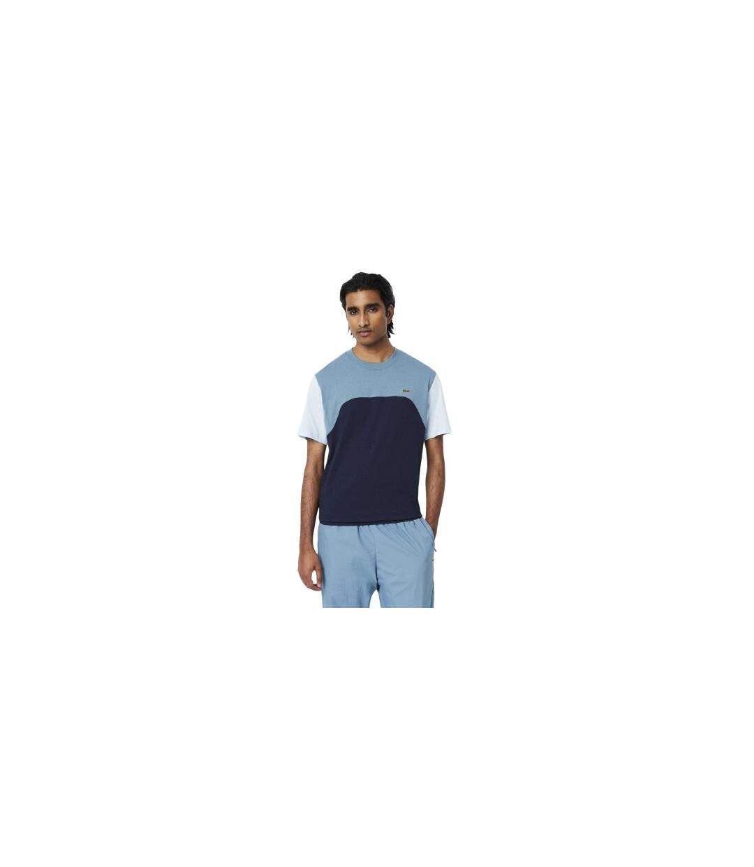 Mens Colour Block Jersey T-shirt Navy Lacoste-2