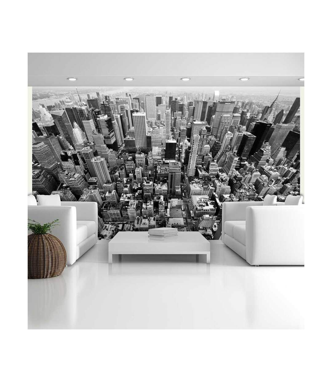 Papier Peint États Unis, New York : Noir & Blanc II 270x450cm-1