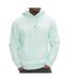 Sweat à capuche homme turquoise tommy hilfiger linear logo - m-1