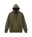 Unisex Adult Hammer Maxweight Hoodie Olive Gildan-2