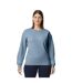 Pull Softstyle Adulte Bleu De Gris Gildan-1