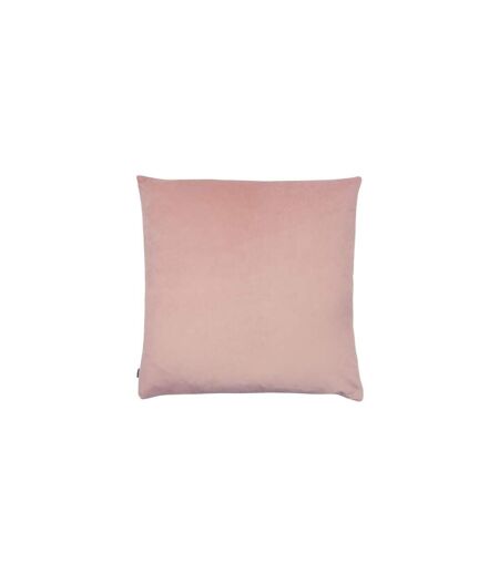 Ashley Wilde - Housse de coussin MEYER (Gris / Rose pâle) (50cm x 50cm) - UTRV2149