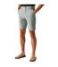 Mens Sabastal Shorts Glacier Regatta-1