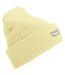 Floso Womens/Ladies Rib Knit Winter Hat (Cream)