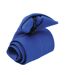Cravate Taille Unique Bleu Roi Premier-1