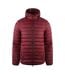 Veste Motif/style Matelassé London Homme Rouge Bordeaux Aquascutum-1