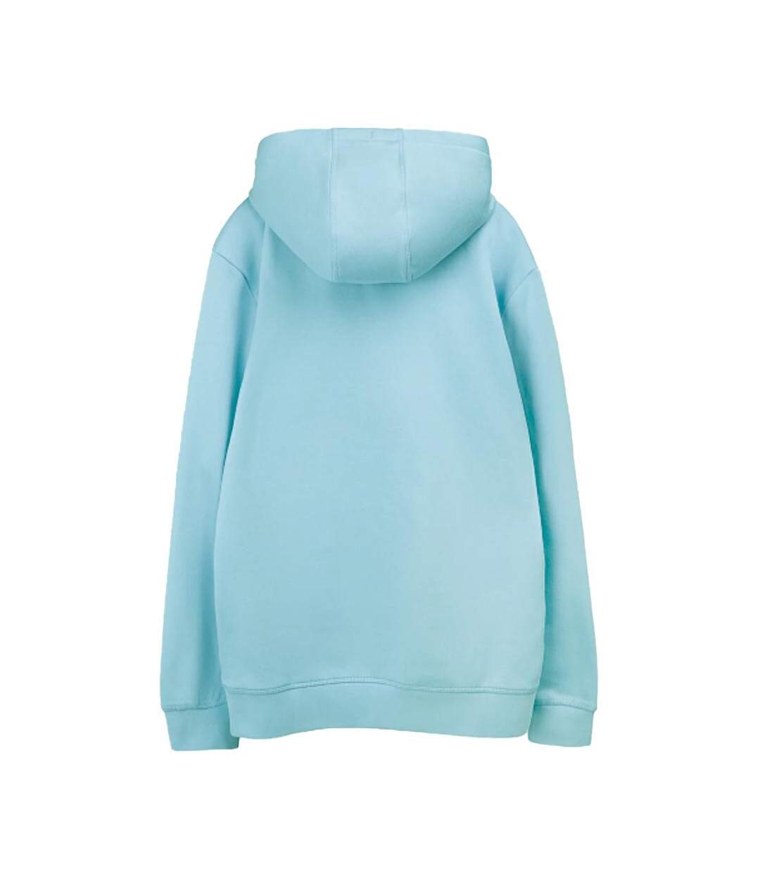 Sweat à capuche turquoise homme teddy smith nark-2