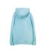Sweat à capuche turquoise homme teddy smith nark-2