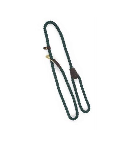 Rope leather dog slip lead one size green Digby & Fox