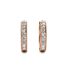 Boucles d'oreilles Eclat - Cristal d'Autriche