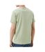 T-shirt Vert Homme Pepe jeans Oldwive