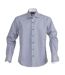 James Harvest Mens Reno Striped Formal Shirt (Navy) - UTUB279
