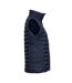 Tee Jays Womens/Ladies Padded Zepelin Vest Jacket / Gilet (Deep Navy) - UTBC3337