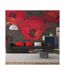 Papier Peint Coquelicots Plissés 270x450cm-1