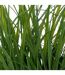 Plante Artificielle en Pot Herbe 70cm Beige-2