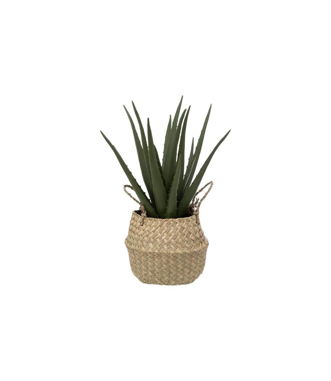 Plante Artificielle & Pot Aloe Vera 37cm Vert-1