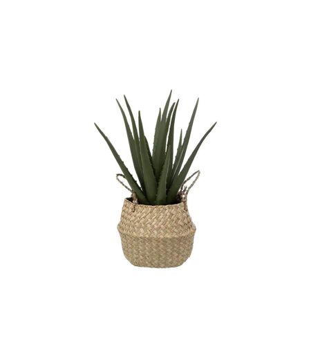 Plante Artificielle & Pot Aloe Vera 37cm Vert